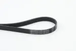 CONTINENTAL CTAM Soonrihm 6PK1130