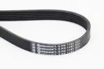 CONTINENTAL CTAM  Soonrihm 6PK1153