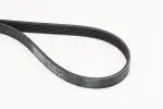 CONTINENTAL CTAM  Soonrihm 6PK1173