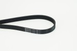 CONTINENTAL CTAM  Soonrihm 6PK1180
