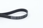 CONTINENTAL CTAM Soonrihm 6PK1190