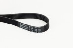 CONTINENTAL CTAM  Soonrihm 6PK1205