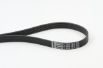 CONTINENTAL CTAM  Soonrihm 6PK1217