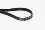 CONTINENTAL CTAM  Soonrihm 6PK1230
