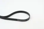 CONTINENTAL CTAM  Soonrihm 6PK1244