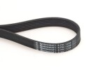 CONTINENTAL CTAM  Soonrihm 6PK1256