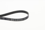 CONTINENTAL CTAM 6PK1282 EXTRA