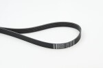 CONTINENTAL CTAM  Soonrihm 6PK1318