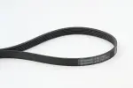 CONTINENTAL CTAM Soonrihm 6PK1352