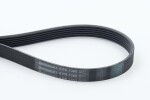 CONTINENTAL CTAM  Soonrihm 6PK1360
