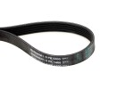 CONTINENTAL CTAM  Soonrihm 6PK1400
