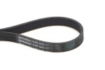 CONTINENTAL CTAM  Soonrihm 6PK1413