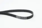 CONTINENTAL CTAM Soonrihm 6PK1440
