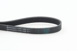 CONTINENTAL CTAM  Soonrihm 6PK1468