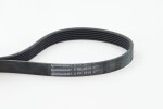 CONTINENTAL CTAM  Soonrihm 6PK1515