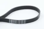CONTINENTAL CTAM  Soonrihm 6PK1538