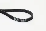 CONTINENTAL CTAM  Soonrihm 6PK1555