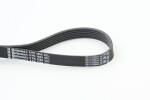 CONTINENTAL CTAM  Soonrihm 6PK1560