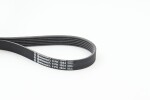 CONTINENTAL CTAM Soonrihm 6PK1564