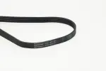 CONTINENTAL CTAM  Soonrihm 6PK1590