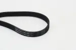 CONTINENTAL CTAM Soonrihm 6PK1605