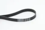 CONTINENTAL CTAM  Soonrihm 6PK1613