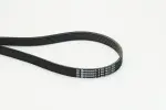 CONTINENTAL CTAM Soonrihm 6PK1642