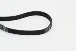 CONTINENTAL CTAM  Soonrihm 6PK1660