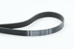 CONTINENTAL CTAM Soonrihm 6PK1680