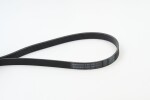 CONTINENTAL CTAM  Soonrihm 6PK1693