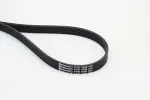 CONTINENTAL CTAM  Soonrihm 6PK1698