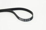 CONTINENTAL CTAM  Soonrihm 6PK1733