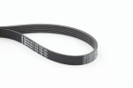 CONTINENTAL CTAM Soonrihm 6PK1750