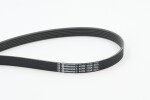 CONTINENTAL CTAM  Soonrihm 6PK1795