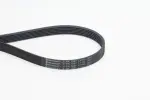 CONTINENTAL CTAM  Soonrihm 6PK1847 EXTRA