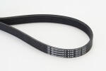 CONTINENTAL CTAM  Soonrihm 6PK1870