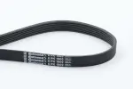 CONTINENTAL CTAM  Soonrihm 6PK1900