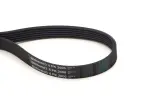CONTINENTAL CTAM Soonrihm 6PK2000