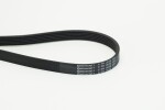 CONTINENTAL CTAM  Soonrihm 6PK2030