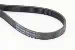 CONTINENTAL CTAM  Soonrihm 6PK2140