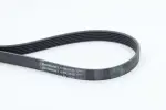 CONTINENTAL CTAM  Soonrihm 6PK2155
