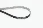 CONTINENTAL CTAM  Soonrihm 6PK2196