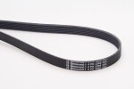 CONTINENTAL CTAM Soonrihm 6PK2260