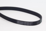 CONTINENTAL CTAM  Soonrihm 6PK2271