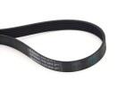 CONTINENTAL CTAM  Soonrihm 6PK2415
