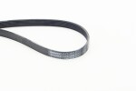 CONTINENTAL CTAM  Soonrihm 6PK2523