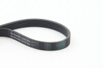 CONTINENTAL CTAM  Soonrihm 6PK800