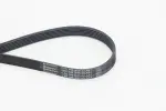 CONTINENTAL CTAM Soonrihm 6PK848 ELAST