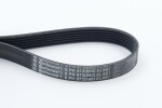 CONTINENTAL CTAM Soonrihm 6PK873 ELAST
