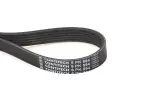 CONTINENTAL CTAM Soonrihm 6PK894